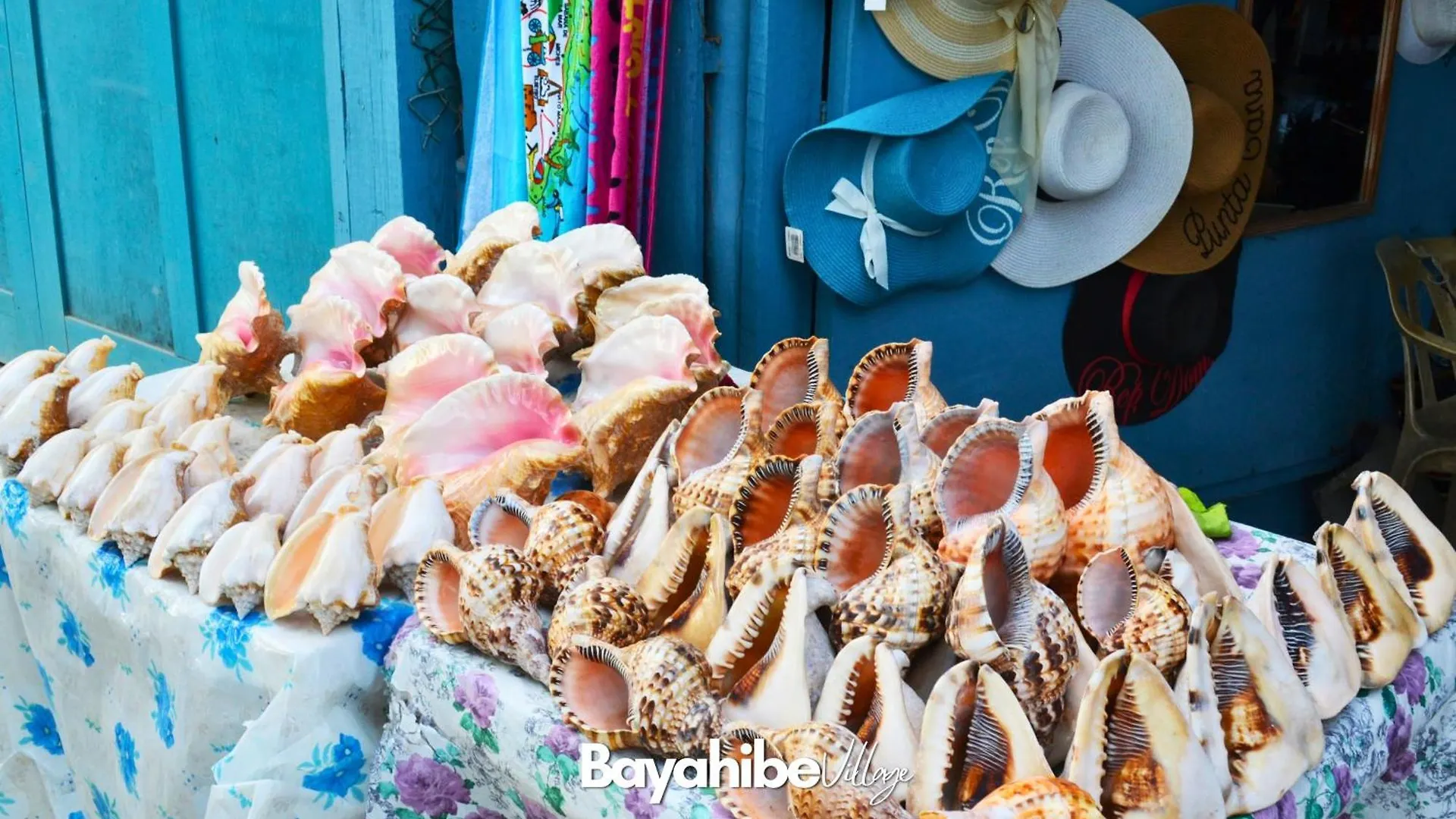 Apartamento Bayahibe Village Inn